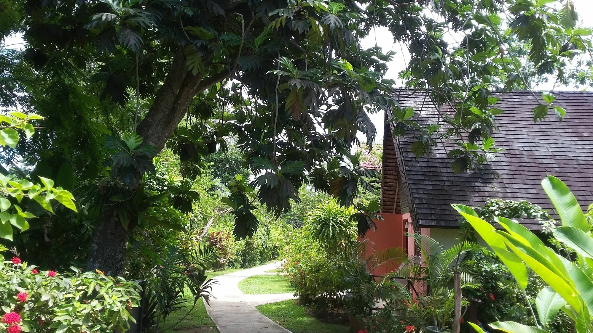 Firefly Beach Cottages Negril Exterior photo